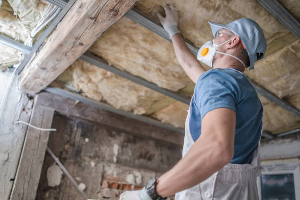 Best Local Insulation Services  in Barrackville, WV
